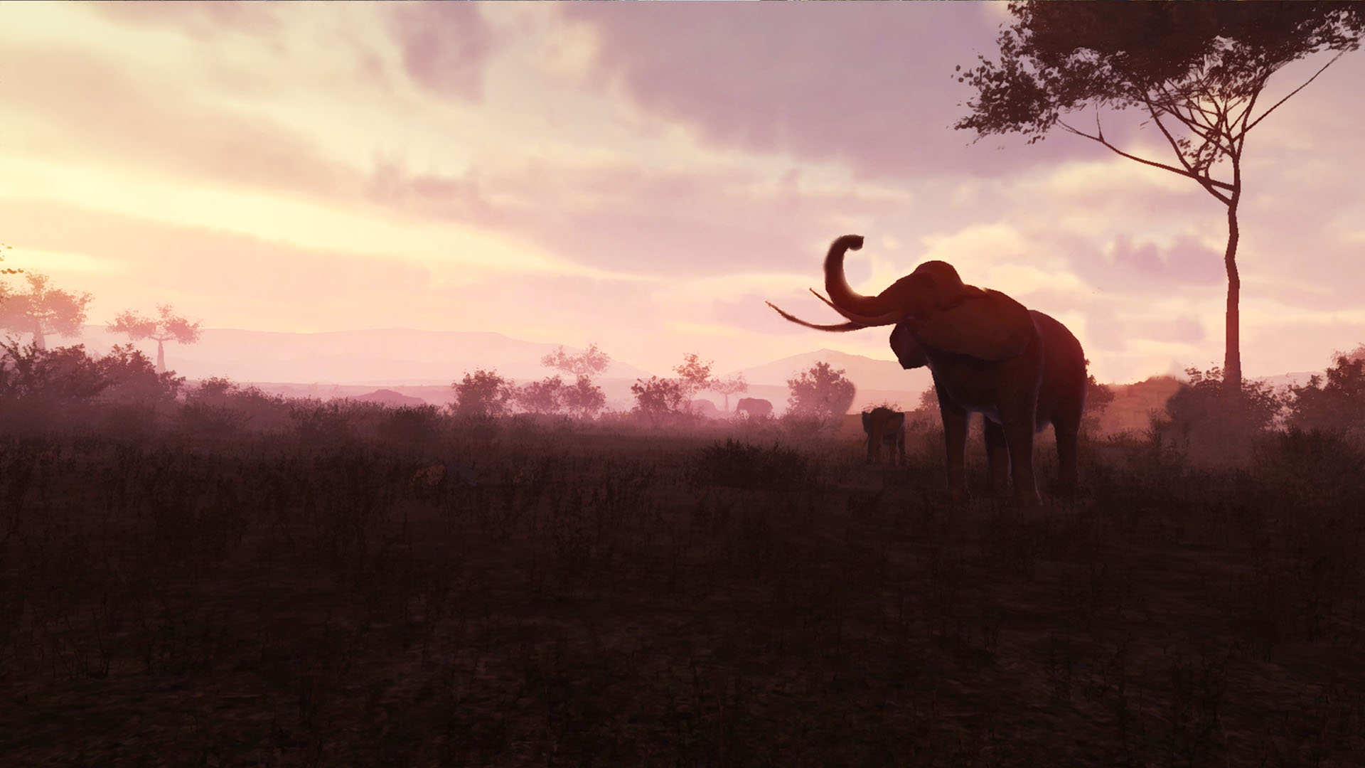 Loco Dojo VR Arcade Edition NATURE TREKS APSIS VR ARCADE GAMES MELBOURNE CBD